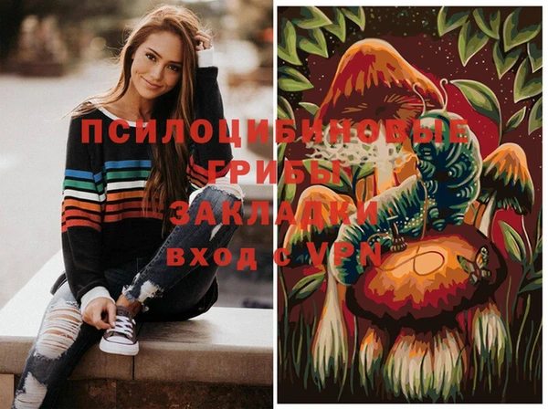 PSILOCYBIN Алексин