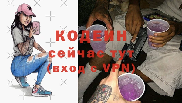 прущие грибы Абаза