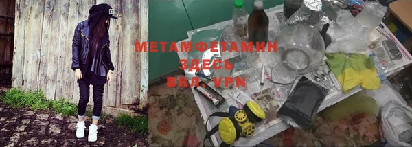 прущие грибы Абаза