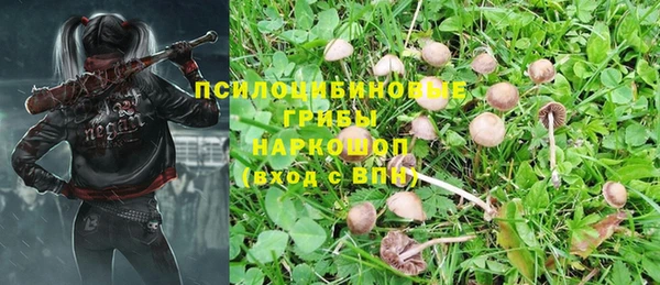бутират Пересвет